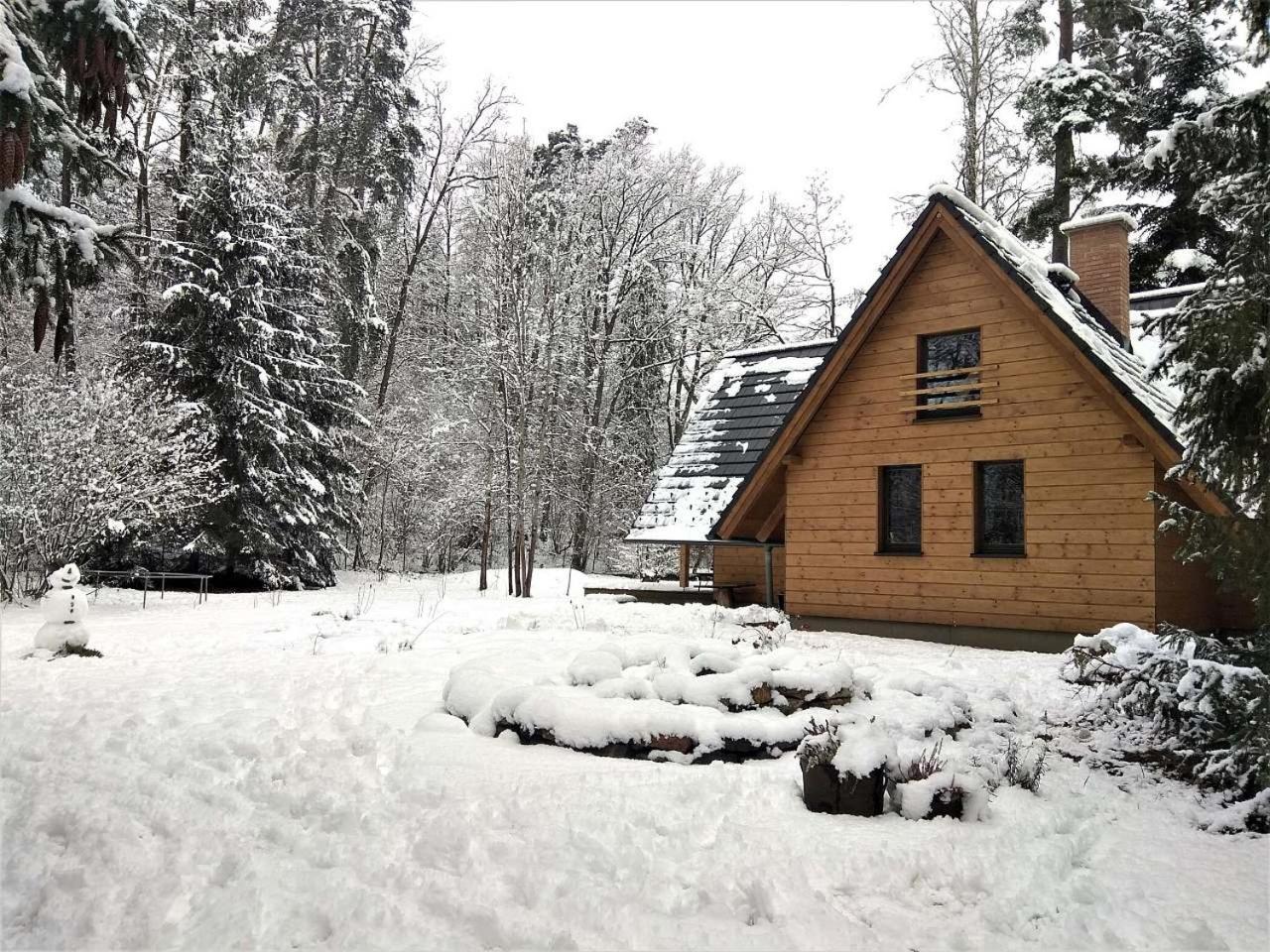 Planá nad Lužnicí Chata Eva 빌라 외부 사진